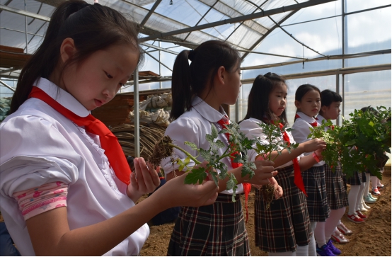 江西安义斐然生态园 青少年研学营地运营